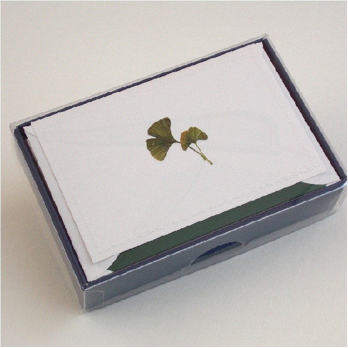 Folded Cards and Lined Envelopes, Classica Italiana - Ginko - LPR 200B