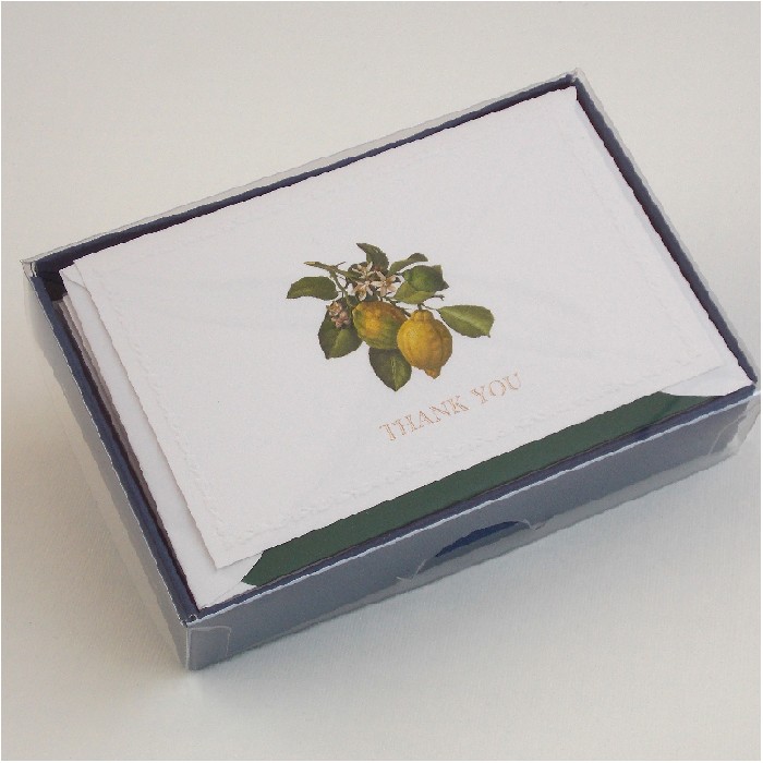 Folded Thank You Cards and Lined Envelopes, Classica Italiana - Lemons -LPR 201BT